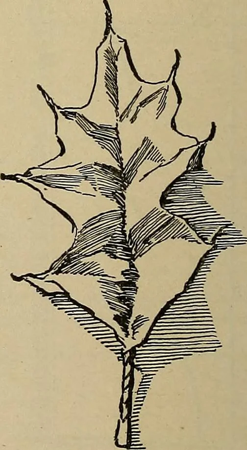 An illustration from Home mission handicraft; ideas for work and play in mission bands and junior societies, 1908, leaf 71