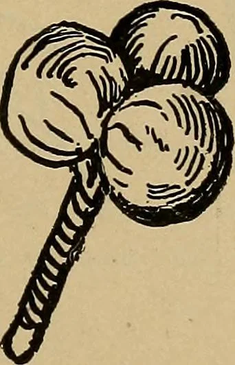 An illustration from Home mission handicraft; ideas for work and play in mission bands and junior societies, 1908, leaf 72