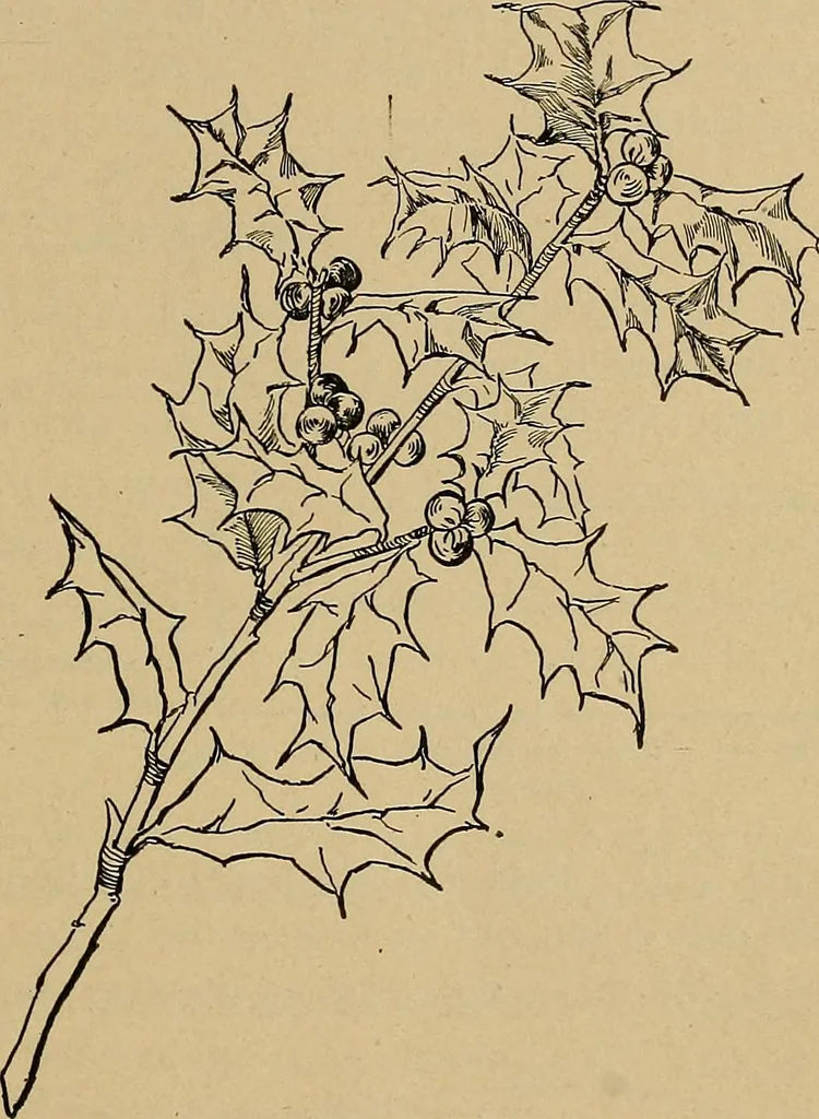 An illustration from Home mission handicraft; ideas for work and play in mission bands and junior societies, 1908, leaf 74