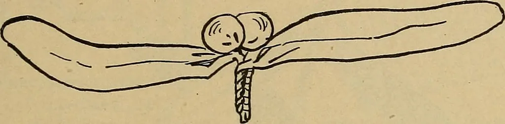 An illustration from Home mission handicraft; ideas for work and play in mission bands and junior societies, 1908, leaf 76