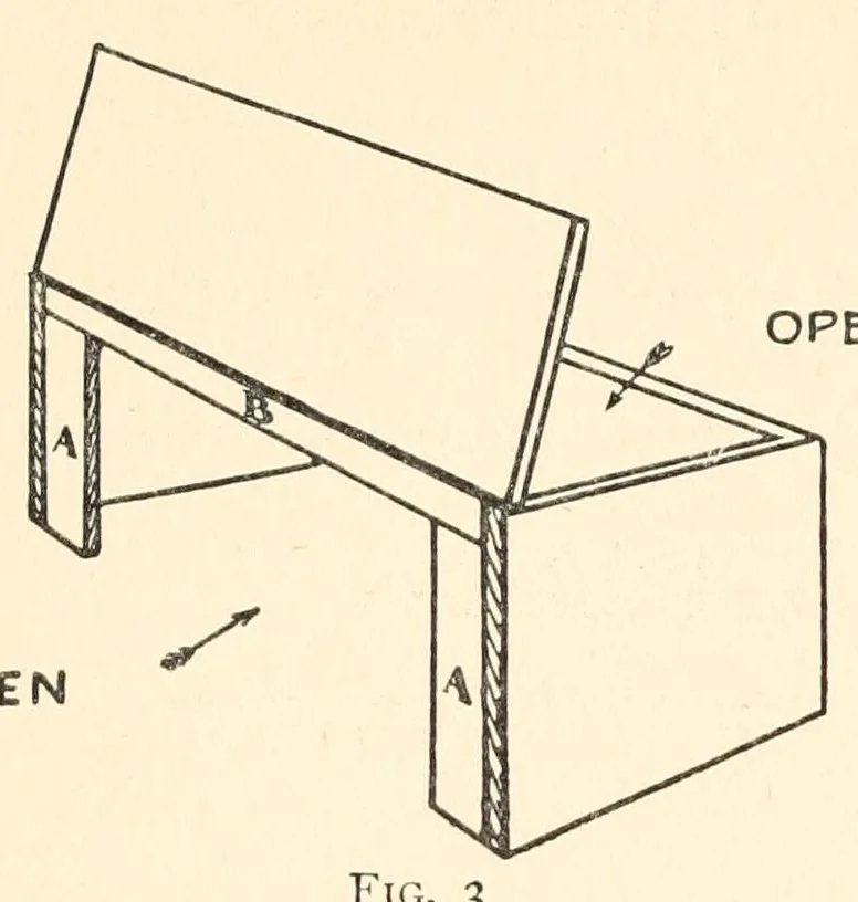 An illustration from Home plays, a collection of new, simple, and effective plays for boys and girls,, 1911, leaf 114