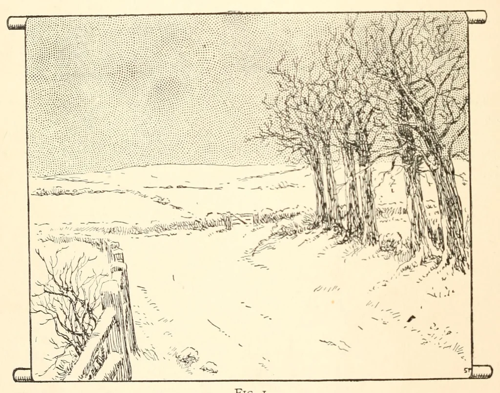 An illustration from Home plays, a collection of new, simple, and effective plays for boys and girls,, 1911, leaf 258