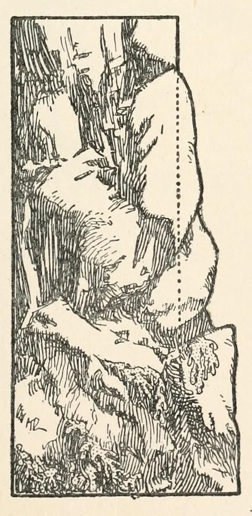 An illustration from Home plays, a collection of new, simple, and effective plays for boys and girls,, 1911, leaf 295
