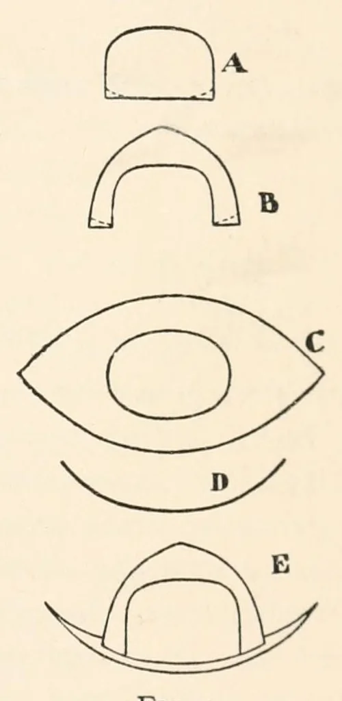 An illustration from Home plays, a collection of new, simple, and effective plays for boys and girls,, 1911, leaf 323