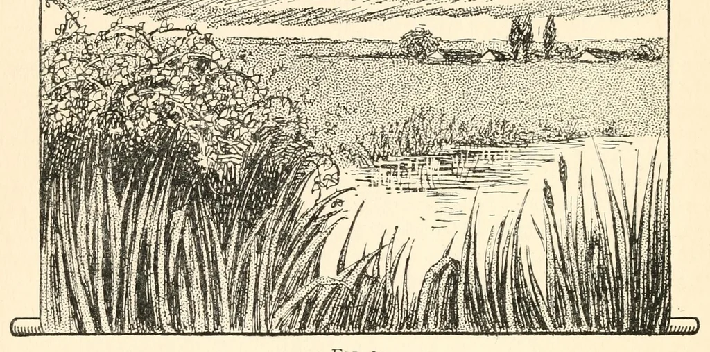 An illustration from Home plays, a collection of new, simple, and effective plays for boys and girls,, 1911, leaf 46