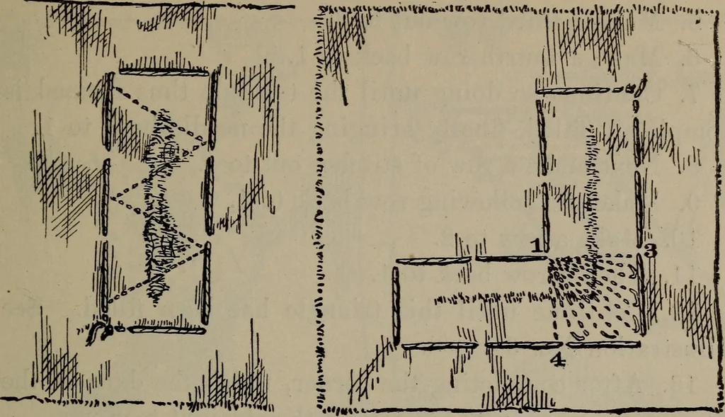 An illustration from Home and school sewing, 1901, leaf 100