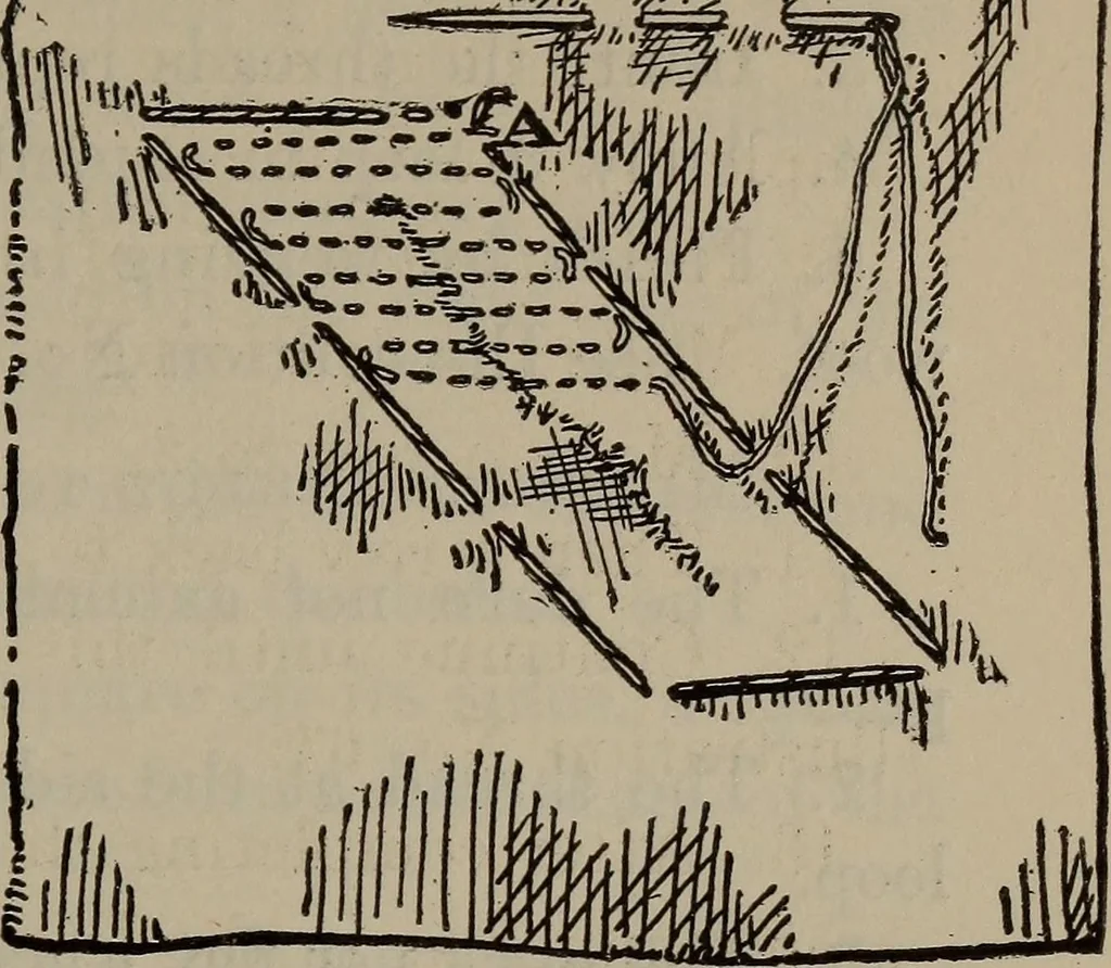 An illustration from Home and school sewing, 1901, leaf 102
