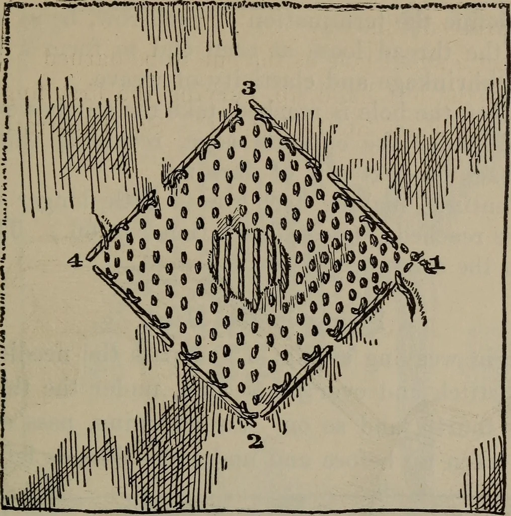 An illustration from Home and school sewing, 1901, leaf 106