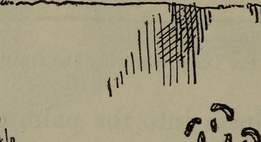 An illustration from Home and school sewing, 1901, leaf 107