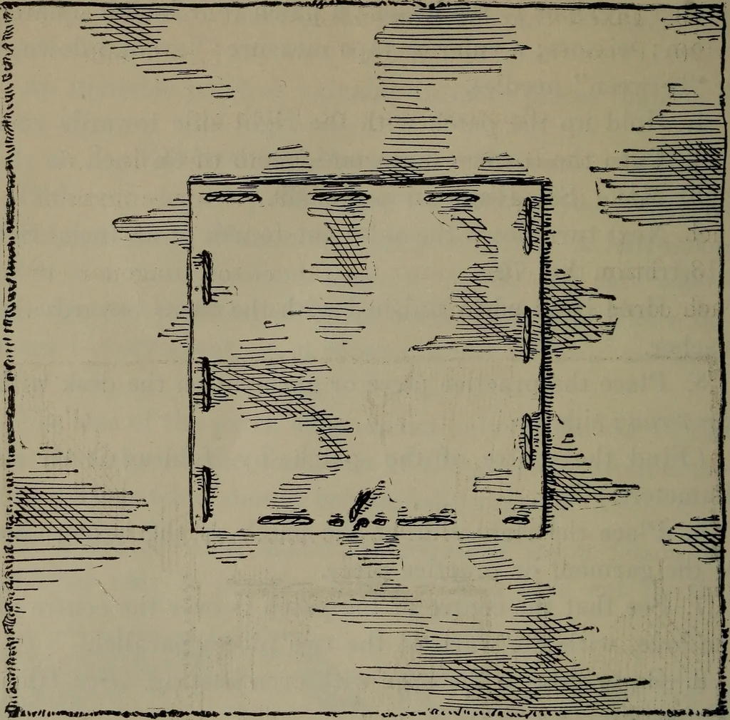An illustration from Home and school sewing, 1901, leaf 113