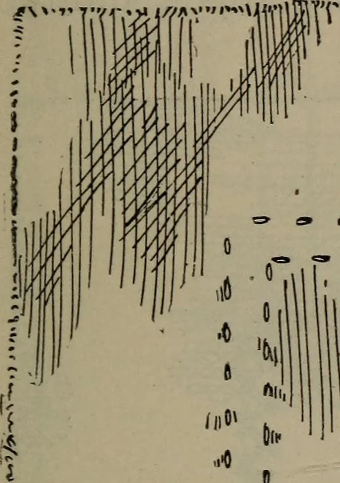 An illustration from Home and school sewing, 1901, leaf 116