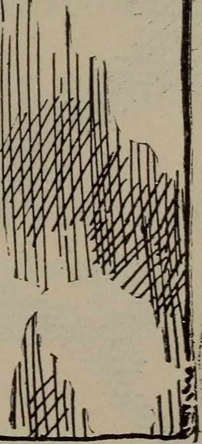 An illustration from Home and school sewing, 1901, leaf 116