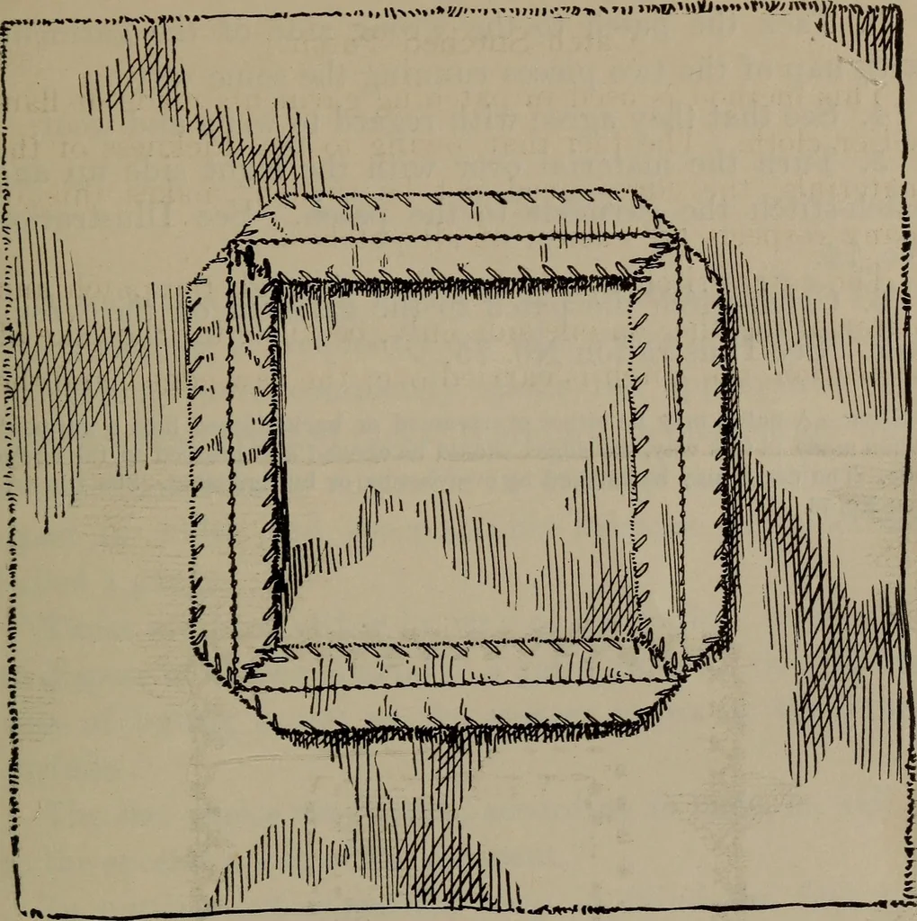 An illustration from Home and school sewing, 1901, leaf 118