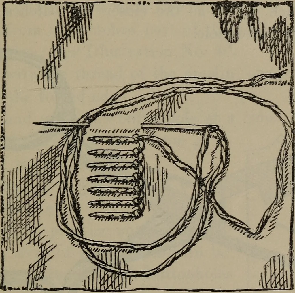 An illustration from Home and school sewing, 1901, leaf 124