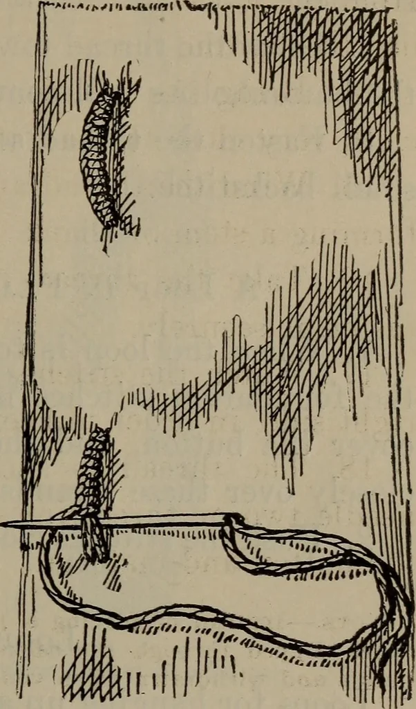 An illustration from Home and school sewing, 1901, leaf 134