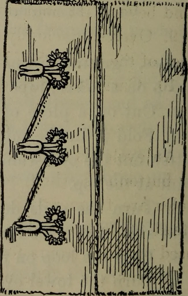 An illustration from Home and school sewing, 1901, leaf 137