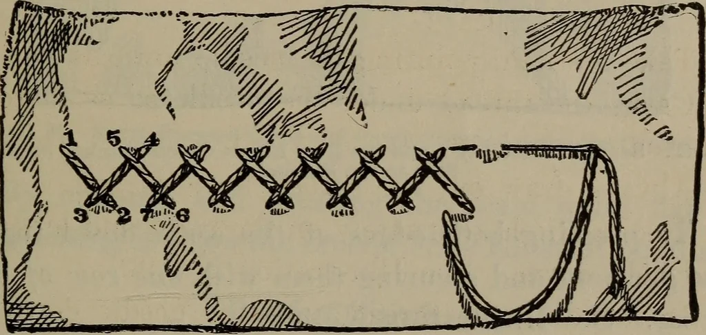 An illustration from Home and school sewing, 1901, leaf 142