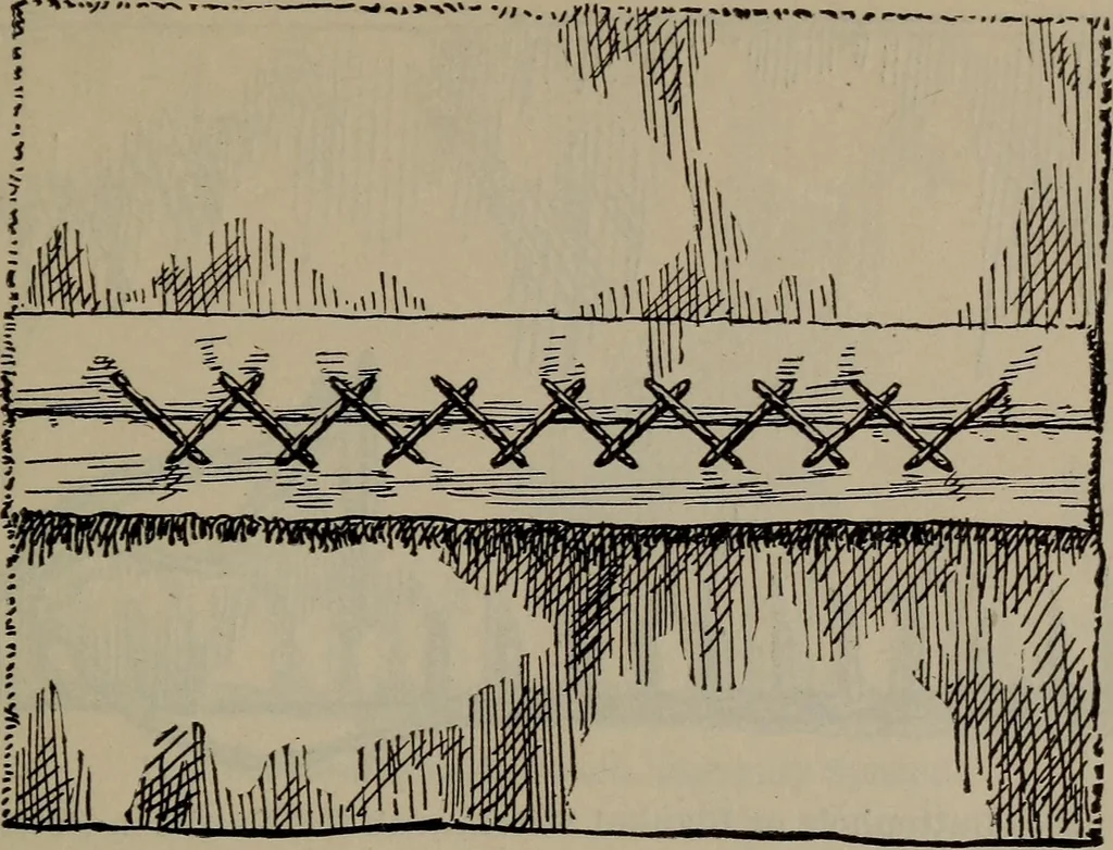 An illustration from Home and school sewing, 1901, leaf 144