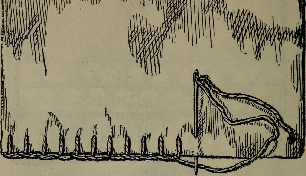 An illustration from Home and school sewing, 1901, leaf 145