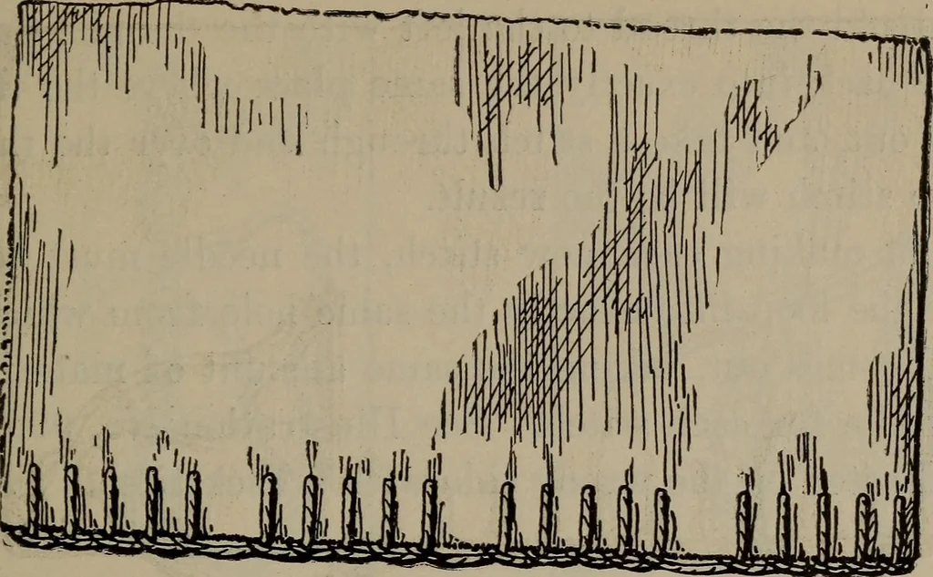 An illustration from Home and school sewing, 1901, leaf 146
