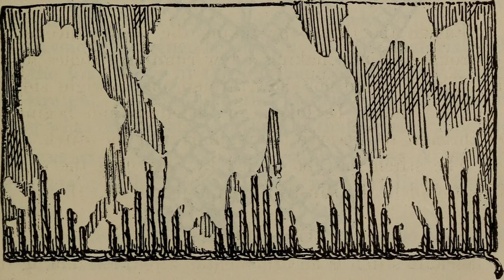 An illustration from Home and school sewing, 1901, leaf 146