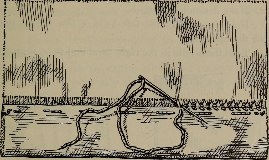 An illustration from Home and school sewing, 1901, leaf 152