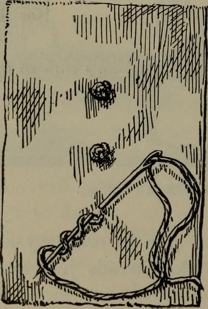 An illustration from Home and school sewing, 1901, leaf 153