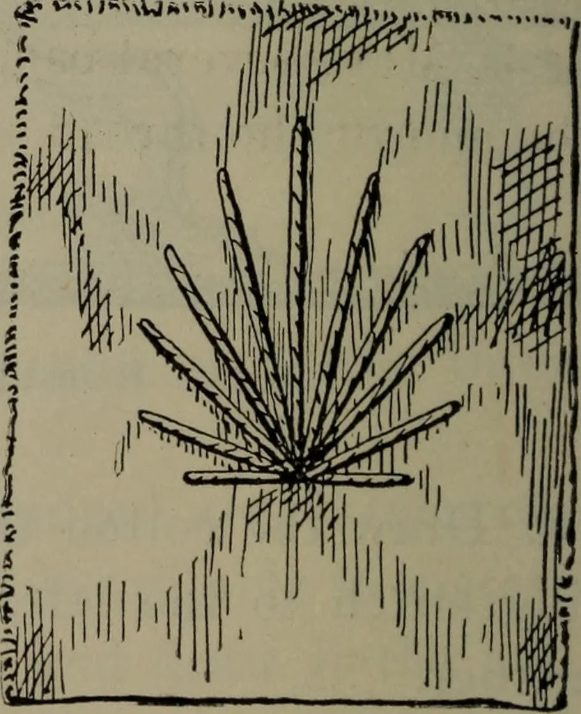 An illustration from Home and school sewing, 1901, leaf 153