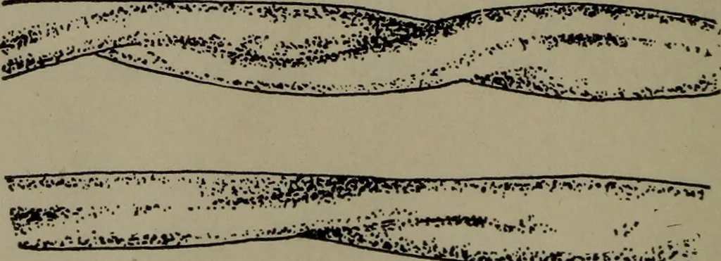 An illustration from Home and school sewing, 1901, leaf 167