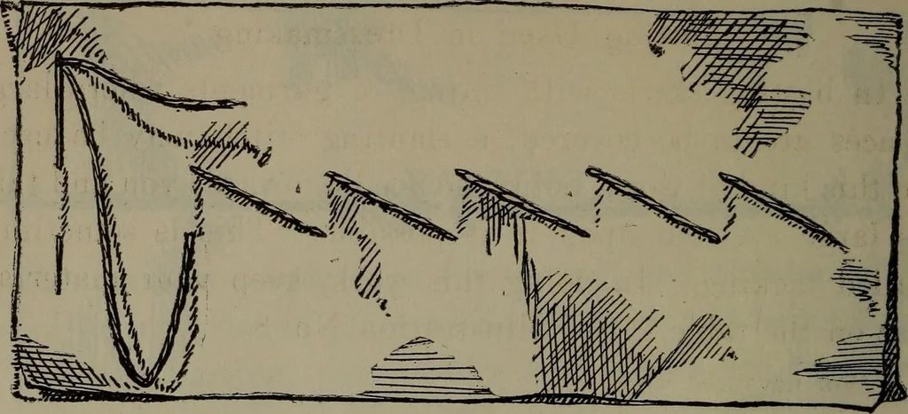 An illustration from Home and school sewing, 1901, leaf 25