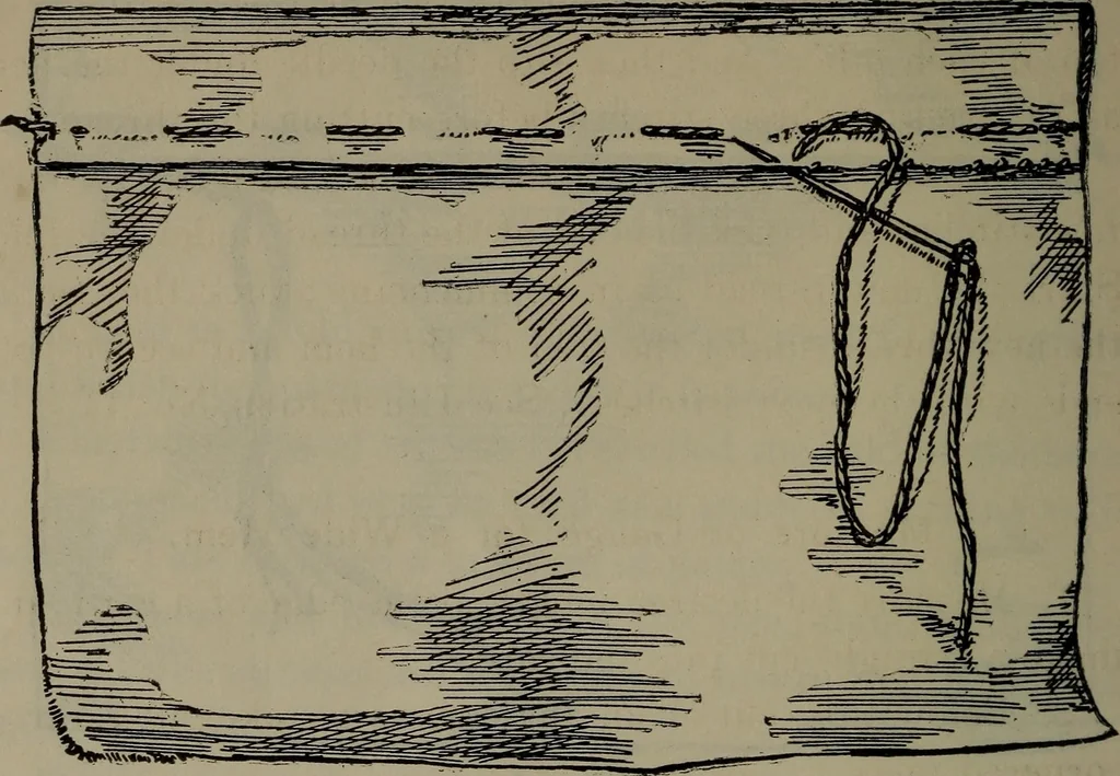 An illustration from Home and school sewing, 1901, leaf 29