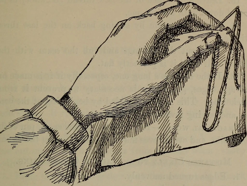 An illustration from Home and school sewing, 1901, leaf 36
