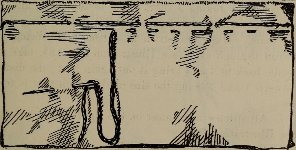 An illustration from Home and school sewing, 1901, leaf 42