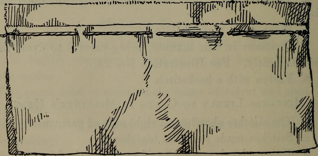 An illustration from Home and school sewing, 1901, leaf 51