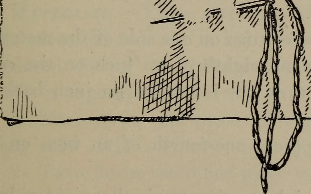 An illustration from Home and school sewing, 1901, leaf 56