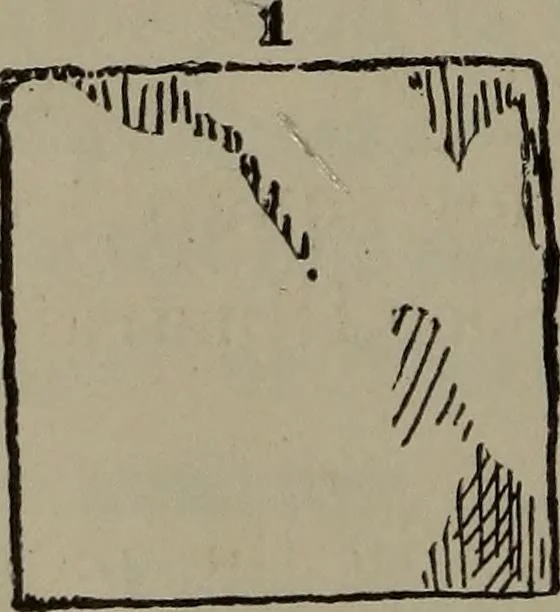 An illustration from Home and school sewing, 1901, leaf 61