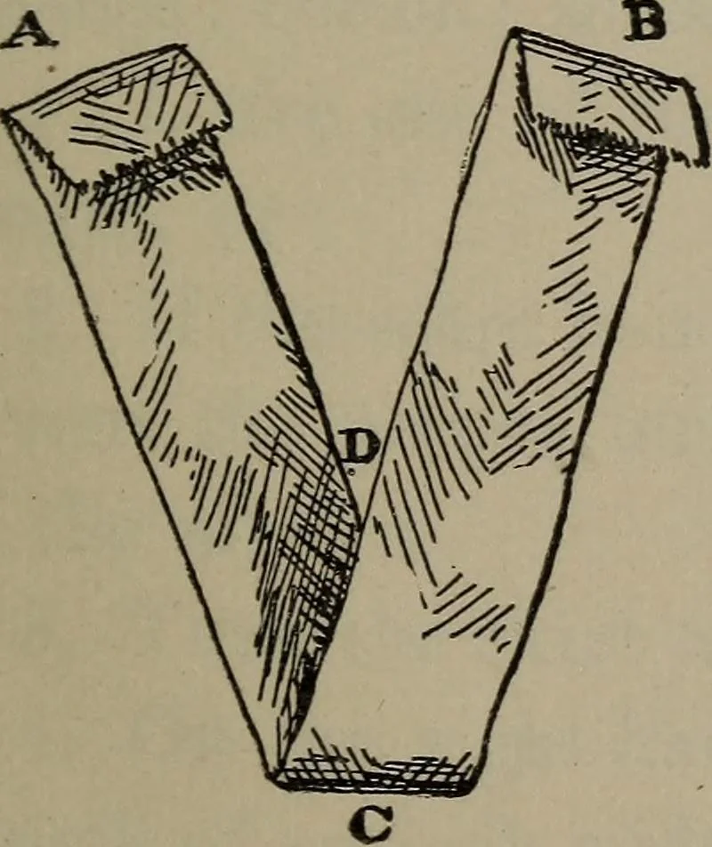 An illustration from Home and school sewing, 1901, leaf 64