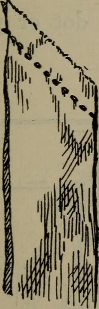 An illustration from Home and school sewing, 1901, leaf 72