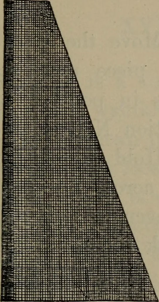 An illustration from Home and school sewing, 1901, leaf 76
