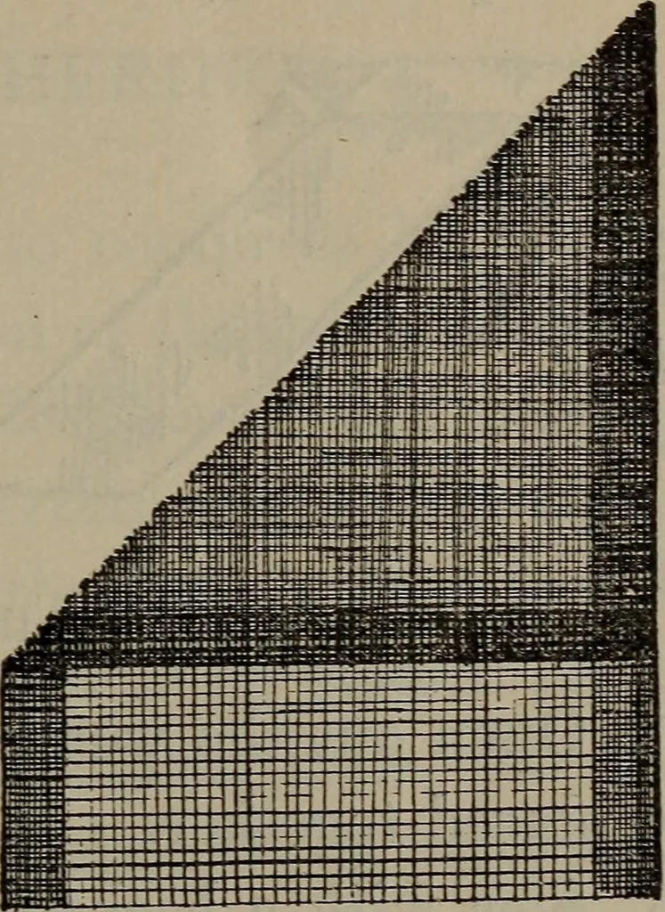 An illustration from Home and school sewing, 1901, leaf 76
