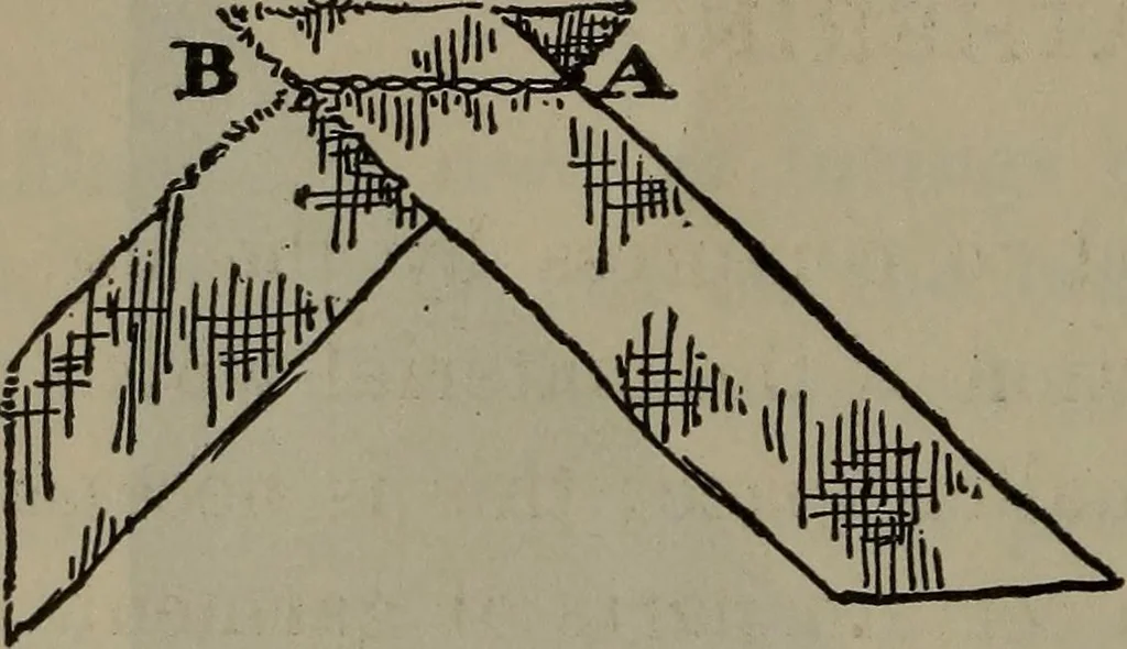 An illustration from Home and school sewing, 1901, leaf 77