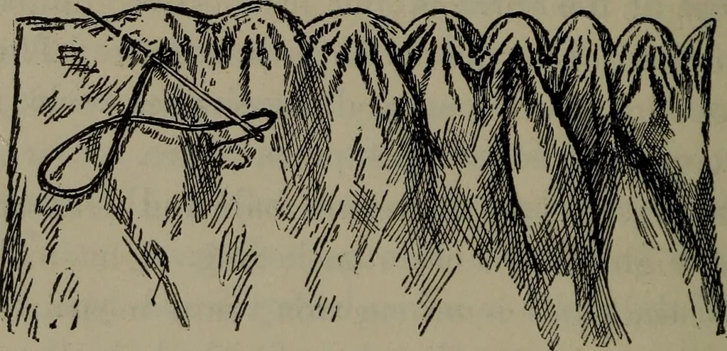 An illustration from Home and school sewing, 1901, leaf 85