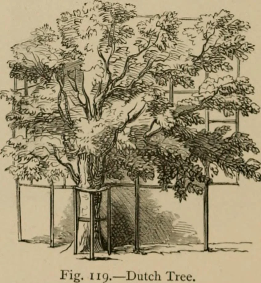 An illustration from Homes, haunts, and works of Rubens, Vandyke, Rembrandt, and Cuyp; the Dutch genre-painters; Michael Angelo and Raffaelle. Being a series of art-rambles in Belgium, Holland and Italy, 1872, leaf 243