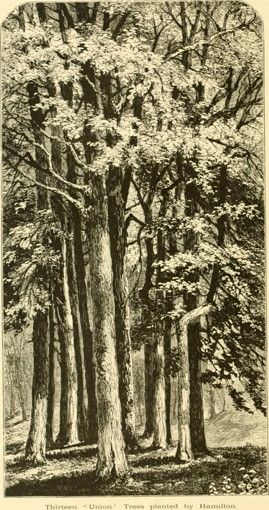 An illustration from The homes of America : with one hundred and three illustrations, 1879, leaf 127