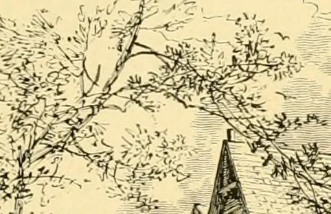 An illustration from The homes of America : with one hundred and three illustrations, 1879, leaf 222