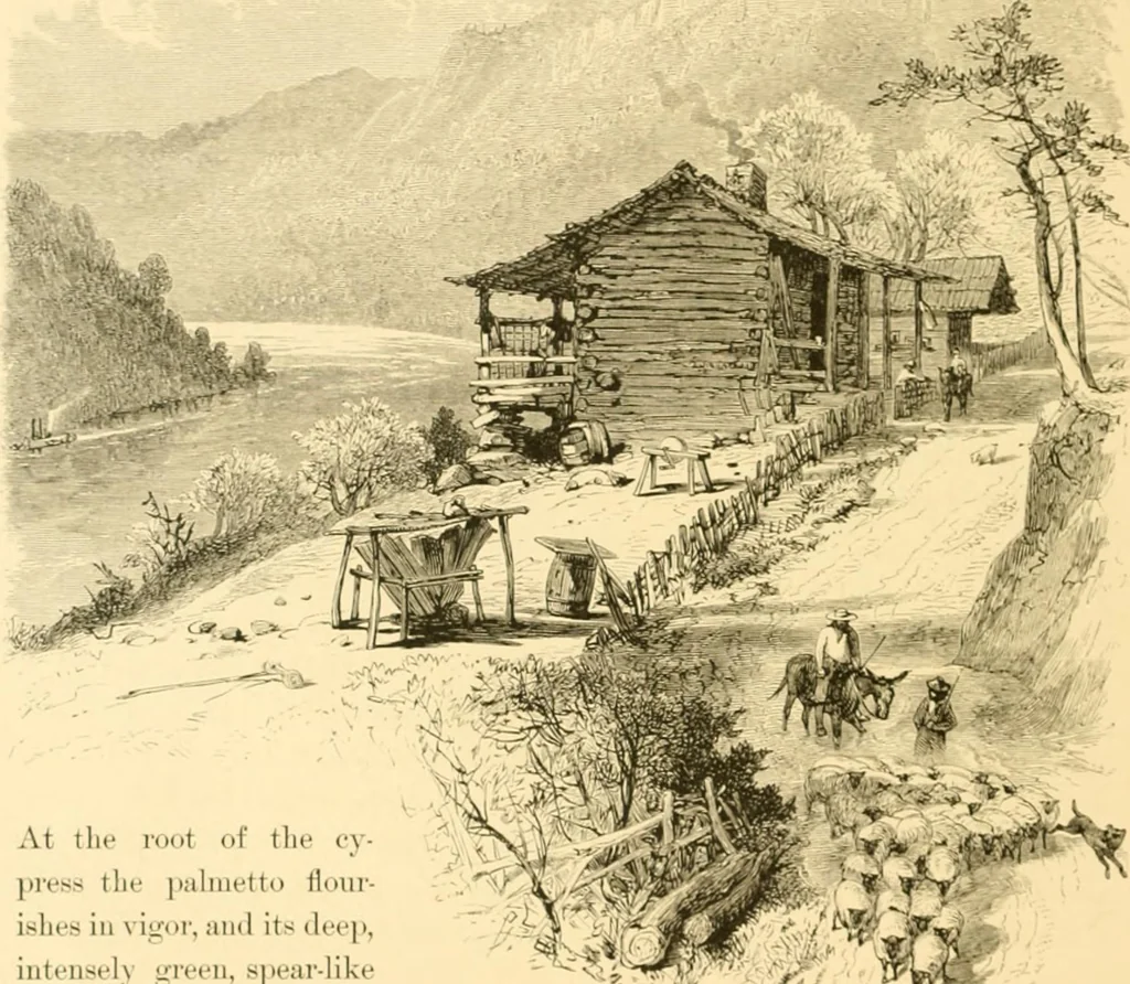 An illustration from The homes of America : with one hundred and three illustrations, 1879, leaf 251