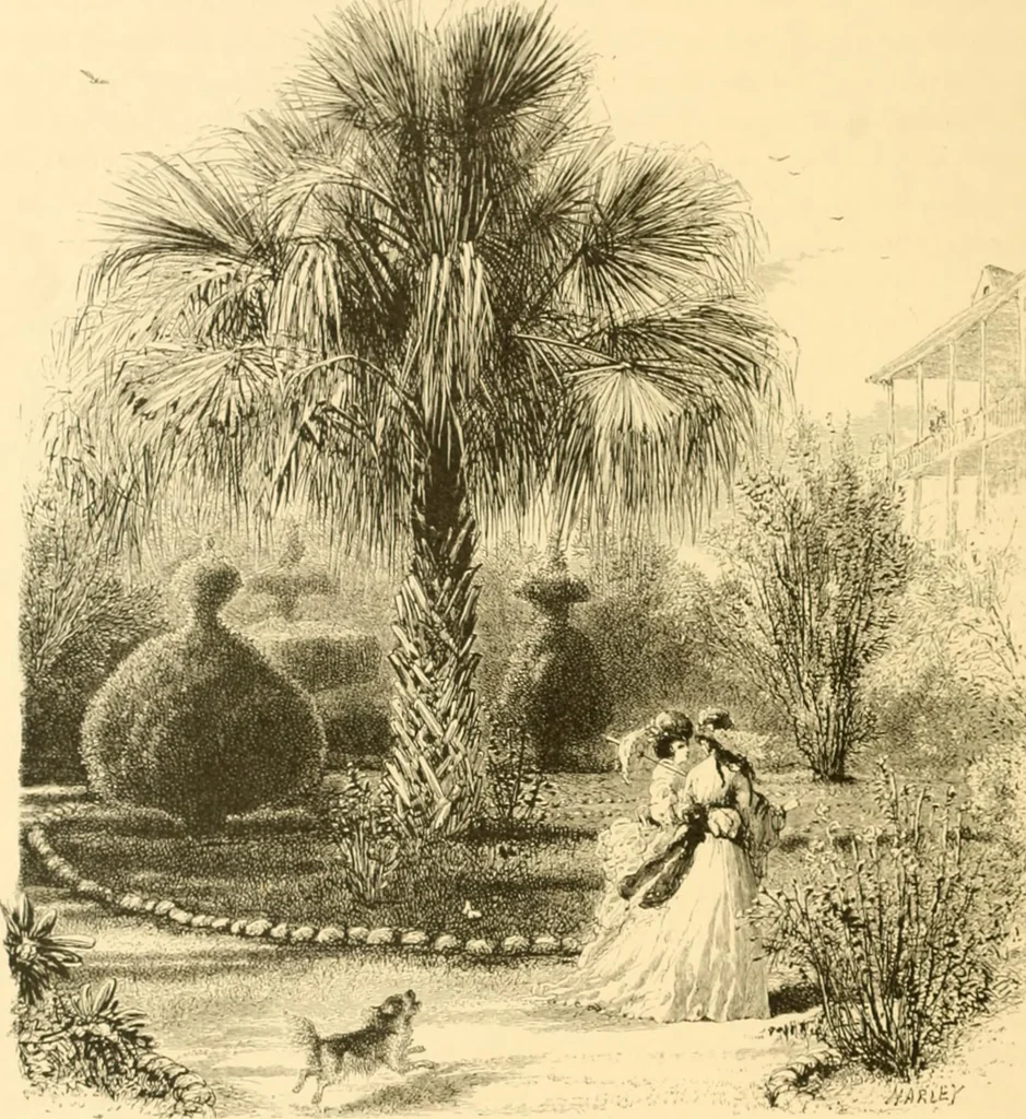 An illustration from The homes of America : with one hundred and three illustrations, 1879, leaf 253