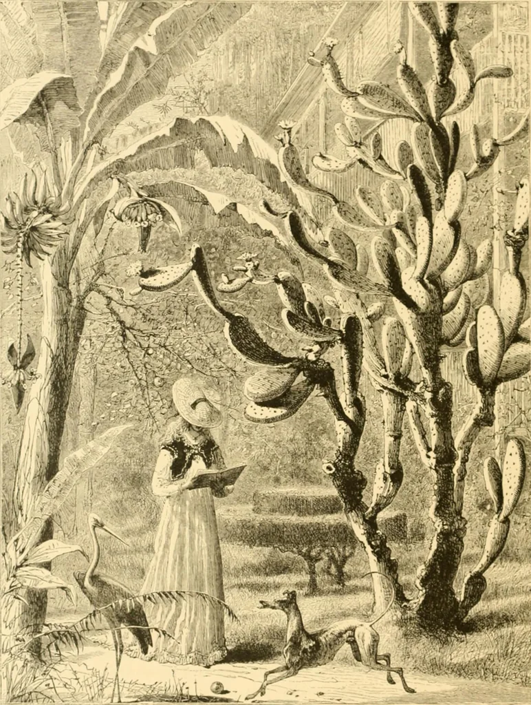 An illustration from The homes of America : with one hundred and three illustrations, 1879, leaf 257