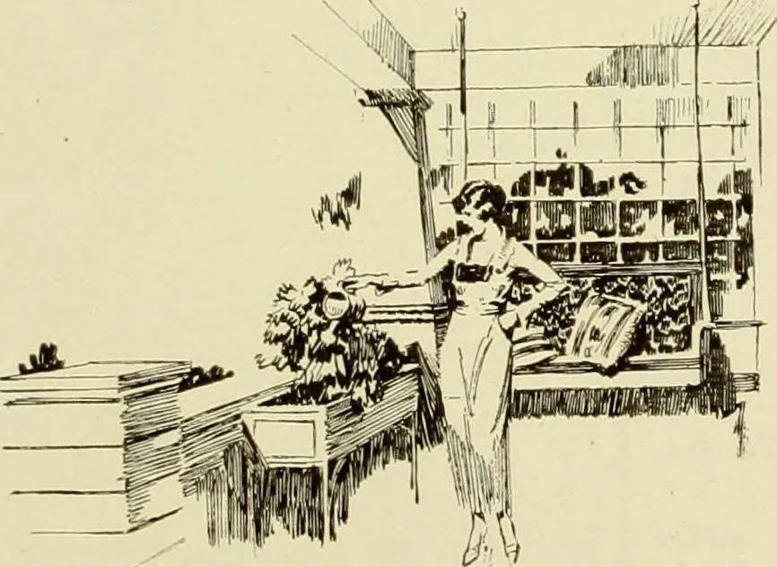An illustration from Homes of character., 1920, leaf 108