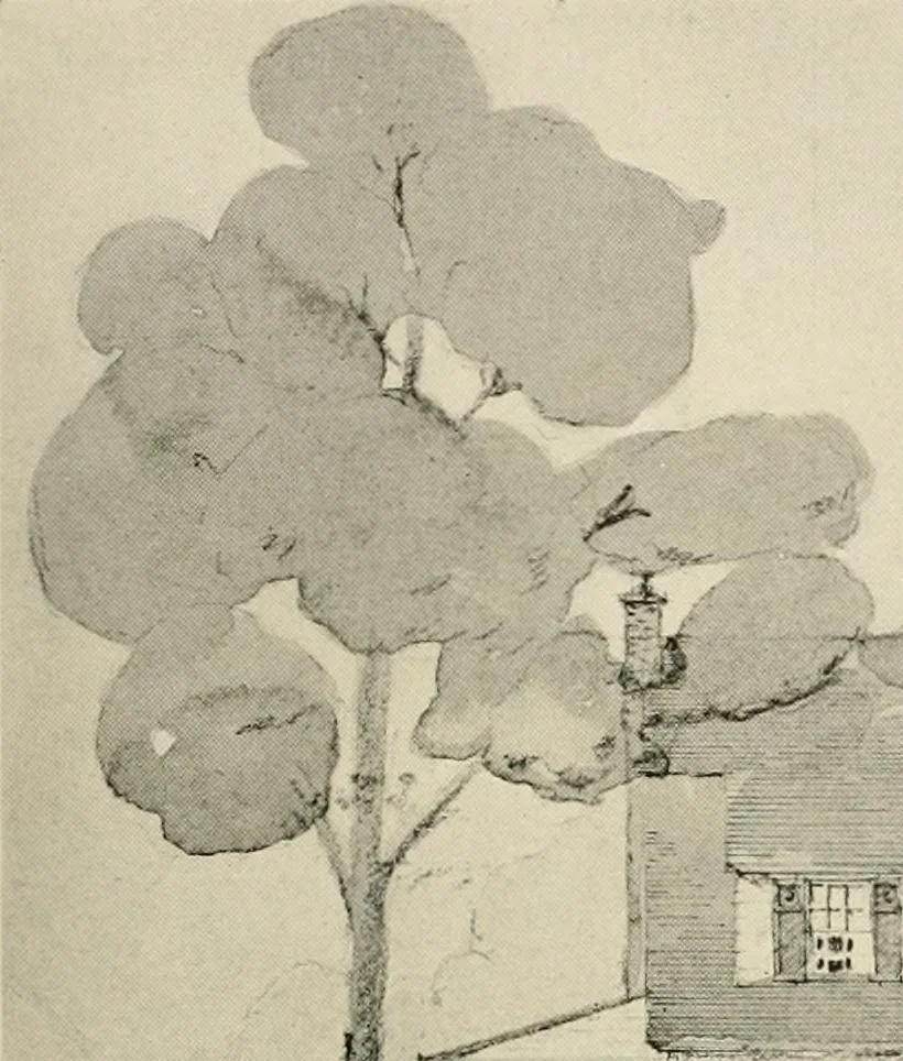 An illustration from Homes of moderate size; a collection of photographs and plans of modern suburban and country homes, following the colonial, Italian and English architectural styles, and arranged accordingly, 1921, leaf 90